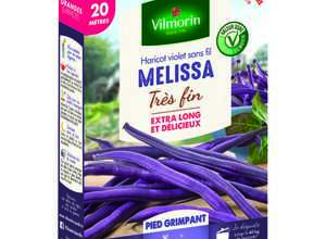 Semences pour haricot nain de la variété melissa - 20 m