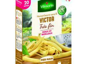 Semences pour haricot nain de la variété victor - 20 m