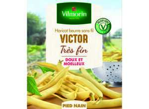 Semences pour haricot nain de la variété victor - 5 m