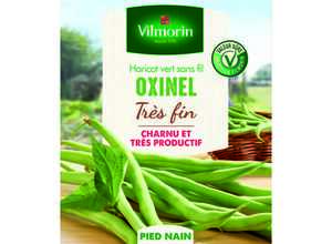 Semences pour haricot nain de la variété oxinel - 5 m
