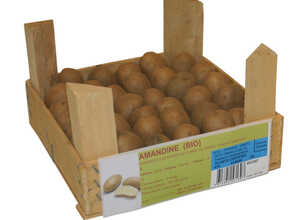 40 plants à demi-germés de pommes de terre amandine bio cal. 25 à 32 40 plants à demi-germés de pommes de terre amandine bio cal. 25 à 32