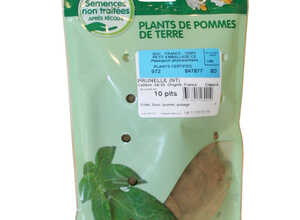 10 plants de pommes de terre prunelle calibre 28 à 35 10 plants de pommes de terre prunelle calibre 28 à 35