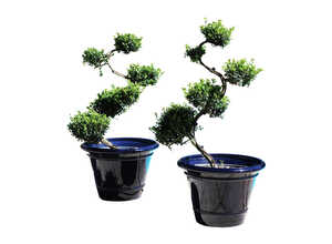 Pot bleu gamme le toscane Ø 58 cm