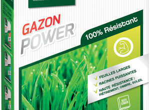 Gazon haute résistance Power 2,5kg