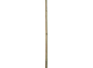 Tuteur Brut Châtaignier Naturel 1,5 m