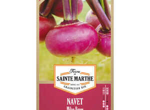 Navet de Milan Rouge
