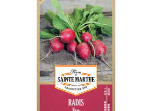 Radis Raxe