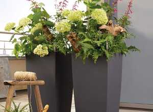Pot Lechuza Cubico Color L40 H75 cm anthracite Pot Lechuza Cubico Color L40 H75 cm anthracite