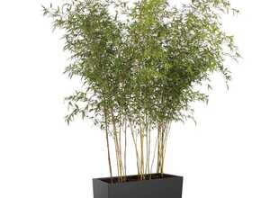 Bac à fleurs Elho Vivo L88 H41 cm gris mat Bac à fleurs Elho Vivo L88 H41 cm gris mat