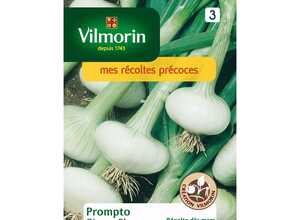 Oignon blanc prompto