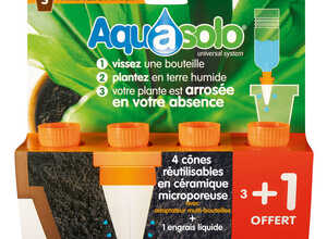 Aquasolo orange small x4 Aquasolo orange small x4