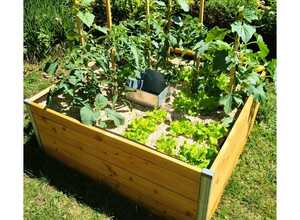 Carré potager en bois avec composteur Keyhole pour 2-3 Pers.