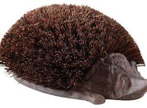 Brosse à chaussure hérisson en fonte