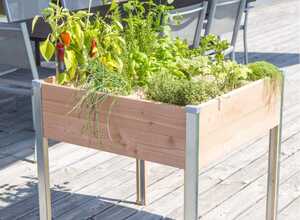 Carré potager sur pied en bois