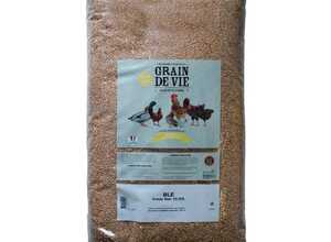 Blé en sac de 25 kg Blé en sac de 25 kg