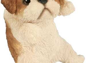 Bébé shih tzu jouant 18 cm Bébé shih tzu jouant 18 cm