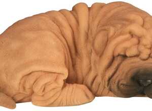 Shar pei dormant en résine 22 cm