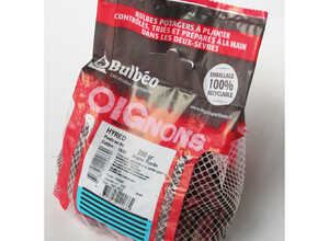 Bulbes d’oignons rouge hyred 250 g Bulbes d’oignons rouge hyred 250 g