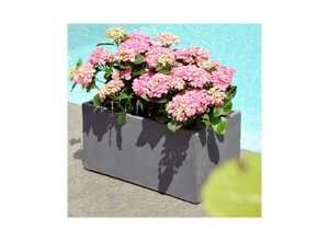 Bac à Fleurs en fibre de terre gris L60 H30 cm Bac à Fleurs en fibre de terre gris L60 H30 cm