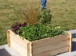 Carré potager en bois mélèze brut certifié FSC Robin Hood Carré potager en bois mélèze brut certifié FSC Robin Hood