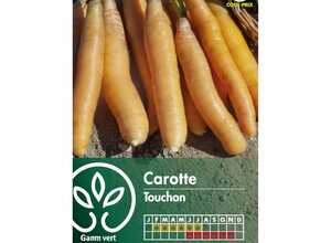 Carotte Touchon