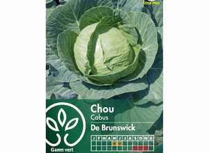 Chou cabus de Brunswick