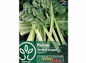 Poirée verte à couper (Erbette)