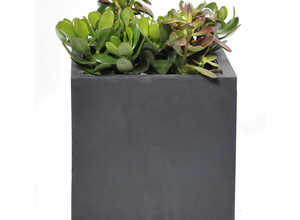 Pot carré GENEVE 28x28xH.28 Gris Pot carré GENEVE 28x28xH.28 Gris