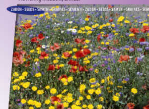MÃ©lange Fleurs des prÃ¨s annuel