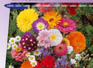 MÃ©lange Fleurs Ã  couper, annuel