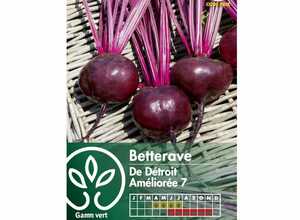 Betterave ronde de Détroit améliorée 7