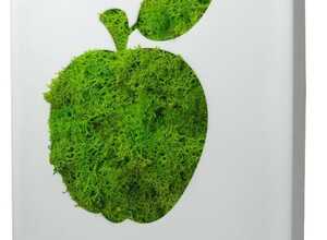 Tableau végétal Picto Pomme en lichen stabilisé 20cm