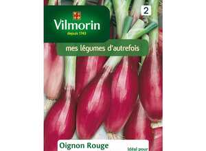 Oignon rouge florence race simiane