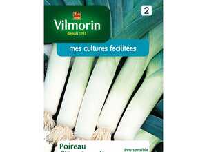 Poireau hiver race vernor