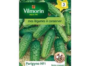 Cornichon parigyno