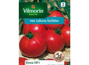 Tomate dona HF1