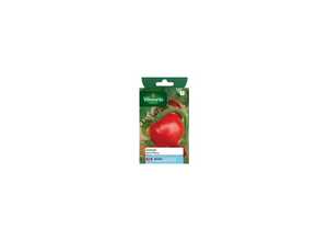 Tomate saint pierre