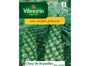 Chou Bruxelles jade cross HF1