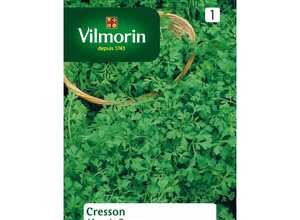 Cresson alenois