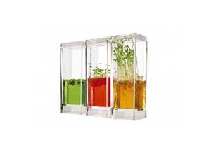 Kit plantarium
