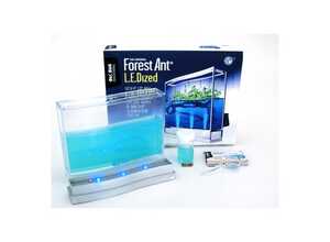 Kit super fourmiliere forest base led