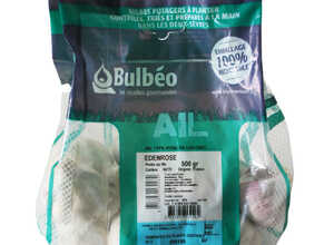 Bulbes d’ail rose edenrose 500 g calibre 50/70 Bulbes d’ail rose edenrose 500 g calibre 50/70