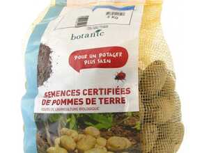 Pommes de terre Bintje bio calibre 0001, 3 kg Pommes de terre Bintje bio calibre 0001, 3 kg