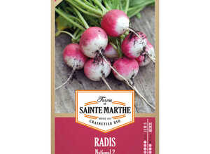 Radis National 2
