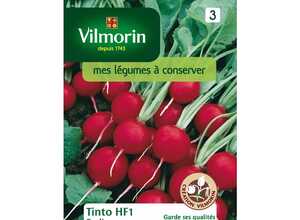 Radis tinto HF1