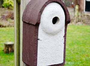 Nichoir pour étourneaux sansonnets WoodStone®