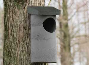 Nichoir pour chouette hulotte WoodStone®