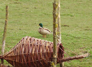 Panier rond pour canards