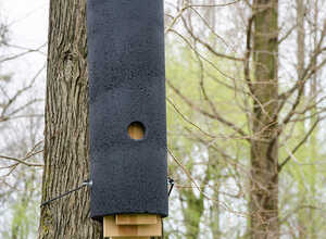 Gîte pour chauves-souris Miramare WoodStone®