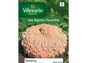 Courge galeuse
